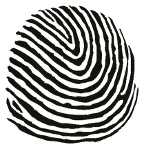 InfoTouch